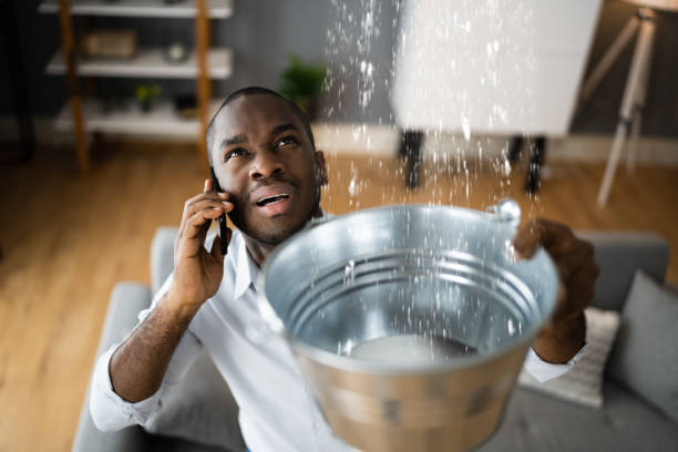 Best Mold removal after water damage  in One Loudoun, VA