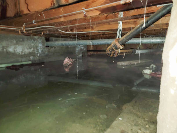 Best Water damage restoration cost  in One Loudoun, VA