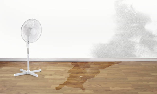 Professional Water damage restoration in One Loudoun, VA