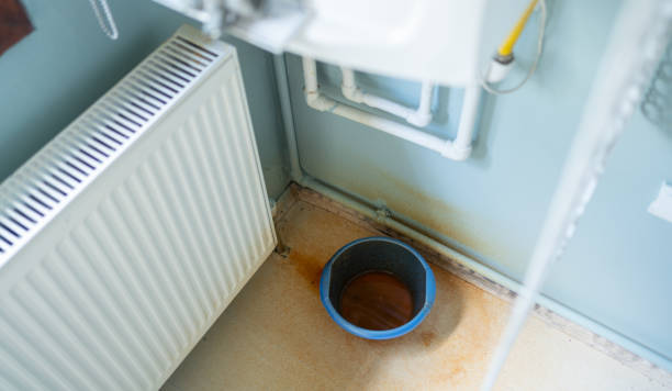 Best Ceiling water damage repair  in One Loudoun, VA