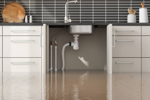 Best Local water damage restoration  in One Loudoun, VA